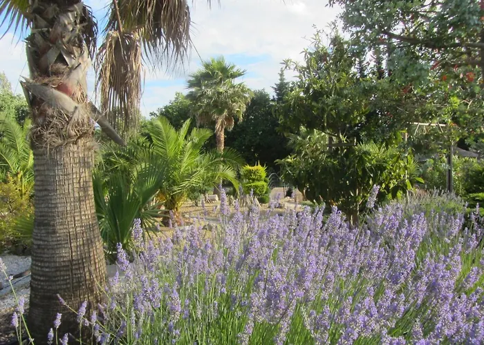 La Palmeraie