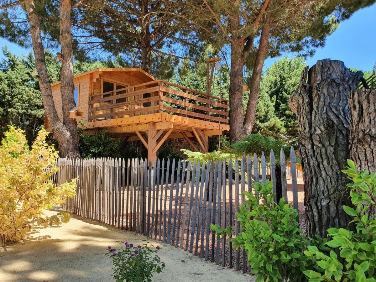 La Palmeraie Salles-dʼAude